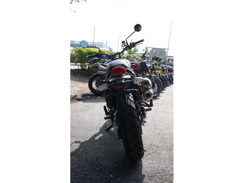 2026 Triumph Scrambler 900 alt