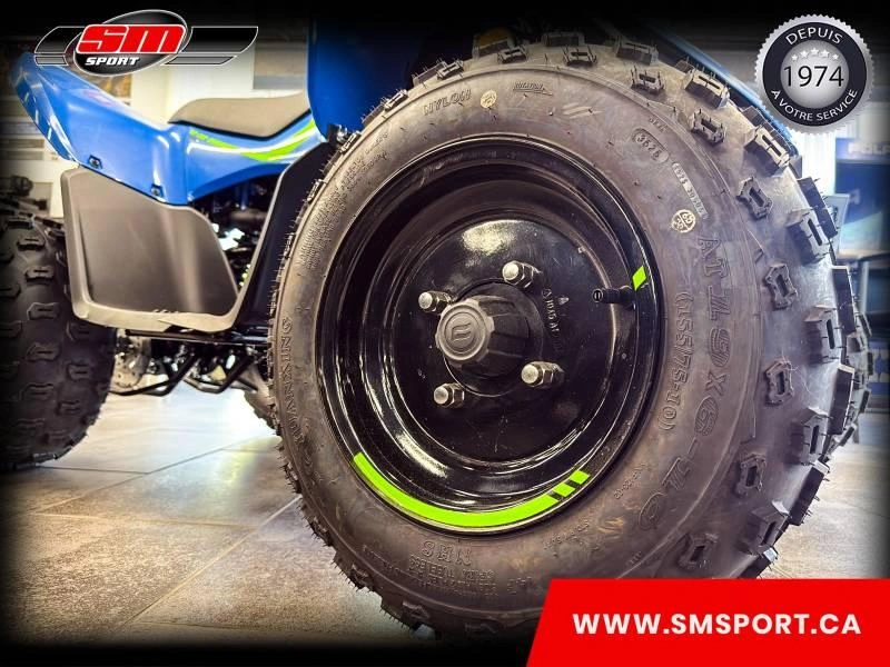 2026 Cfmoto Cforce 110 Classic alt