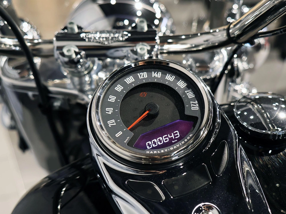Harley-davidson Heritage Flhcs 2024 alt