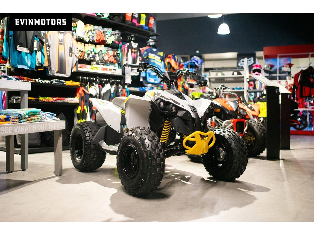 2023 Can-am Renegade 110
