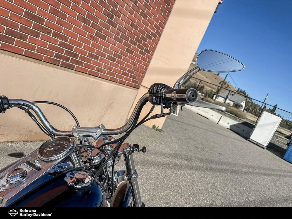 2003 Harley-davidson Fxst - Softail™ Standard