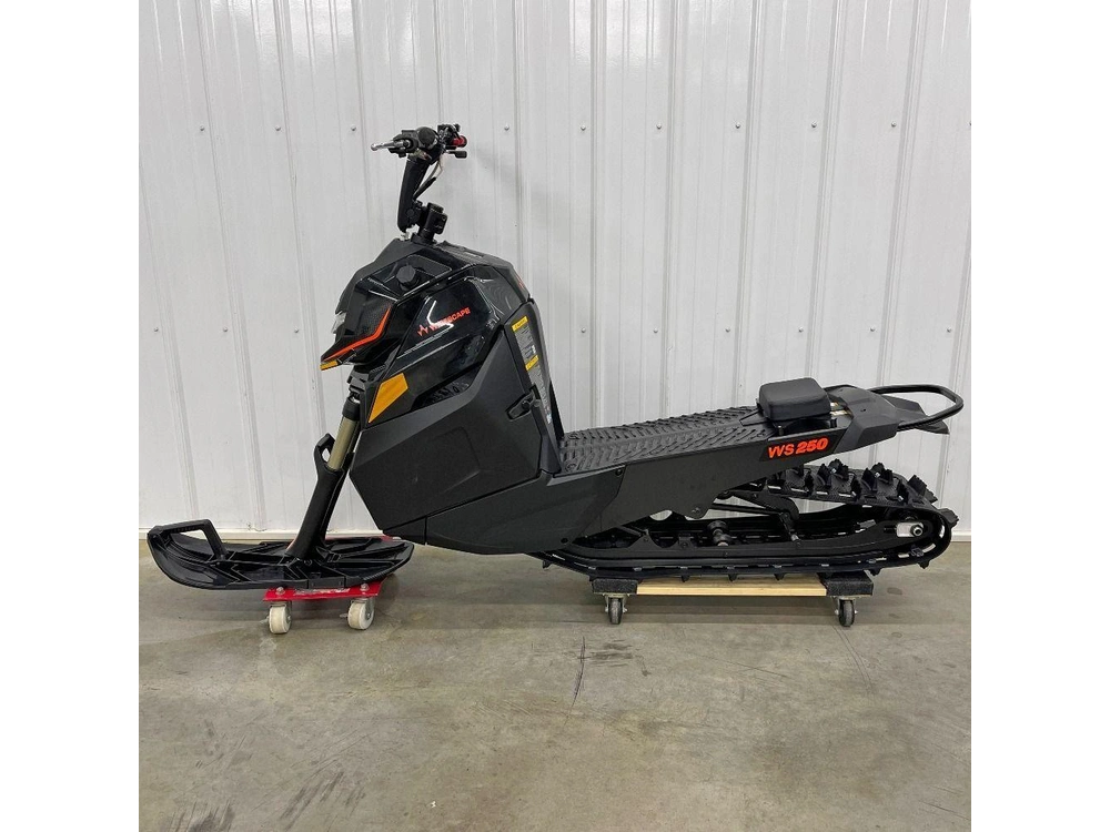 2024 Arctic Cat Widescape Ws 250