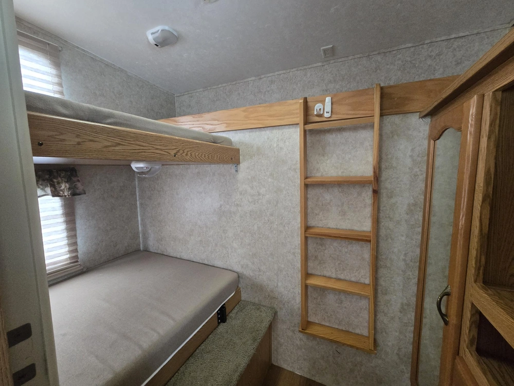 Cougar 281 Efs 2006