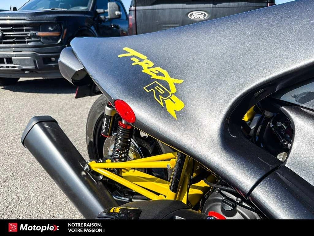 Campagna T-rex Rr Demo 442 Km 2026 alt