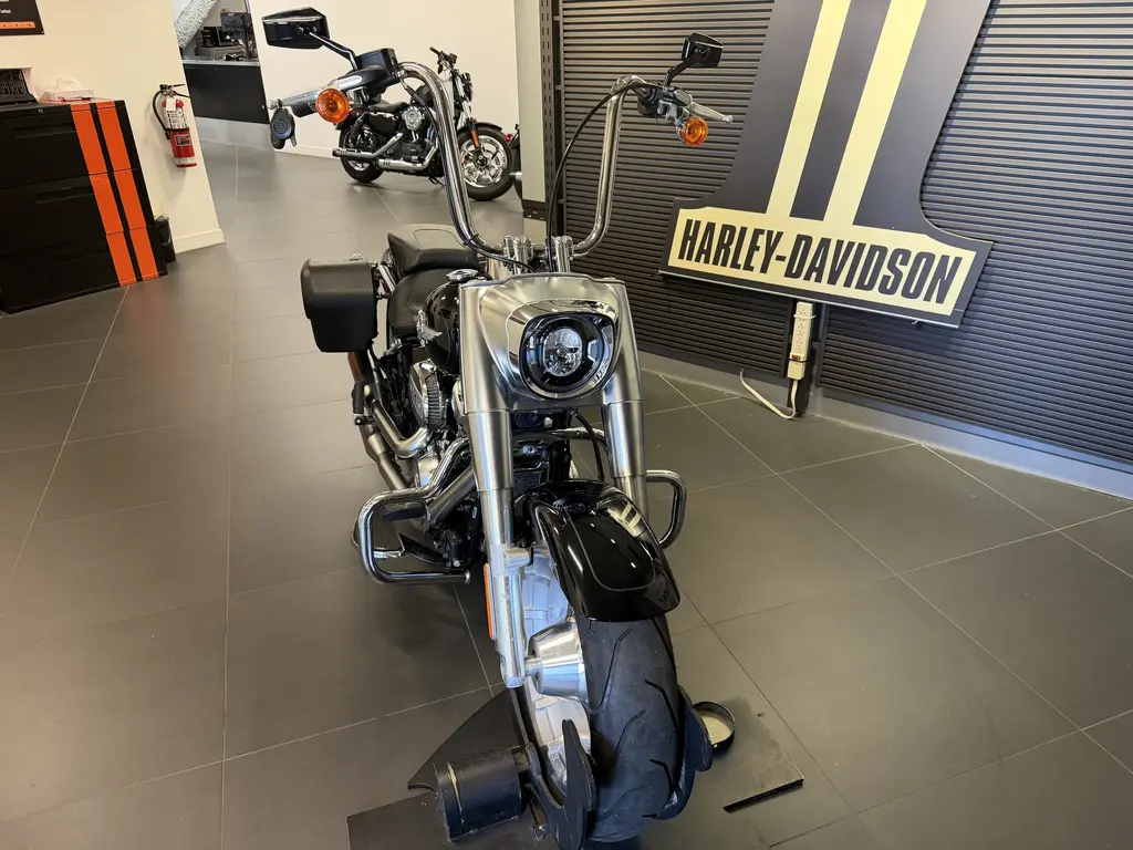 2019 Harley-Davidson FAT BOY 114FLFBS