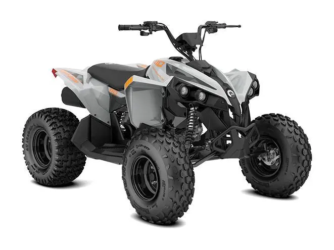 Can-Am Renegade 110 EFI 2027