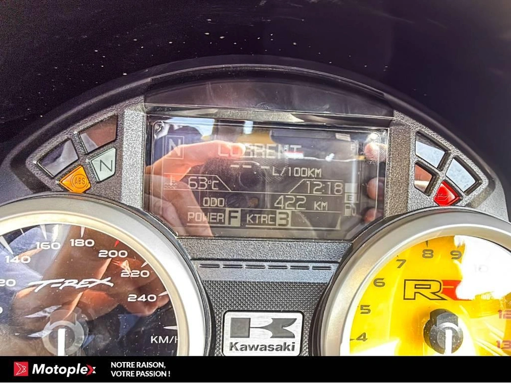 Campagna T-rex Rr Demo 442 Km 2026 alt