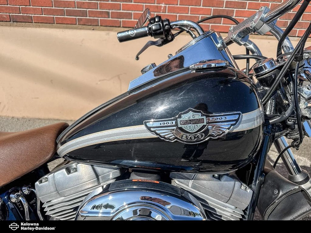 2003 Harley-davidson Fxst - Softail™ Standard