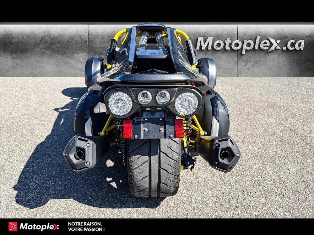 Campagna T-rex Rr Demo 442 Km 2026 alt