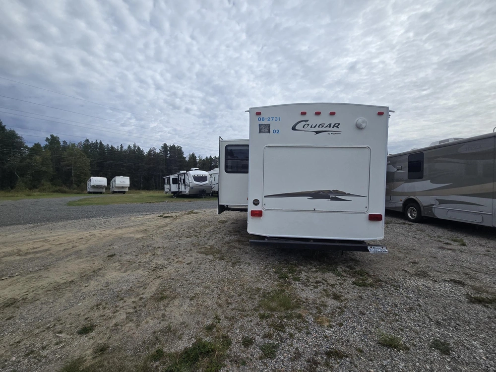 Cougar 281 Efs 2006