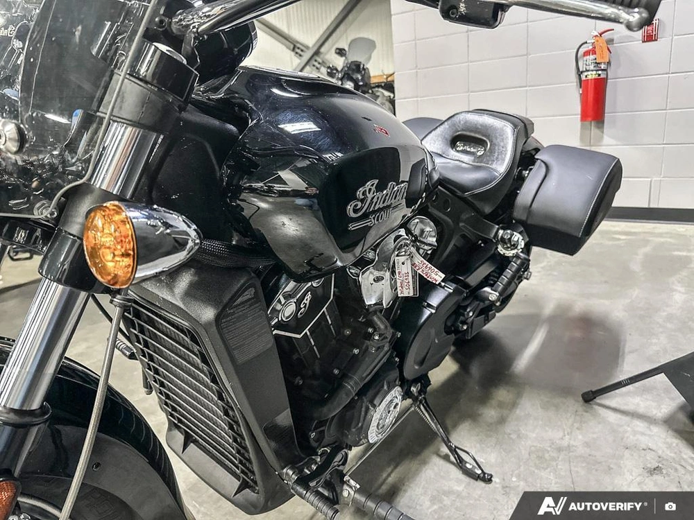 2021 Indian Motorcycle Scout