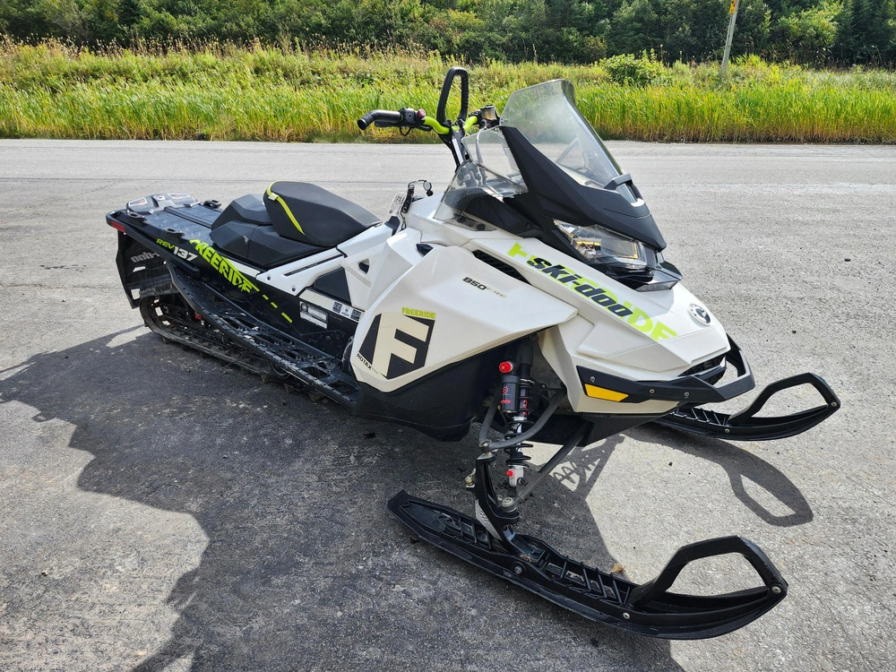 2018 Can-am Freeride alt