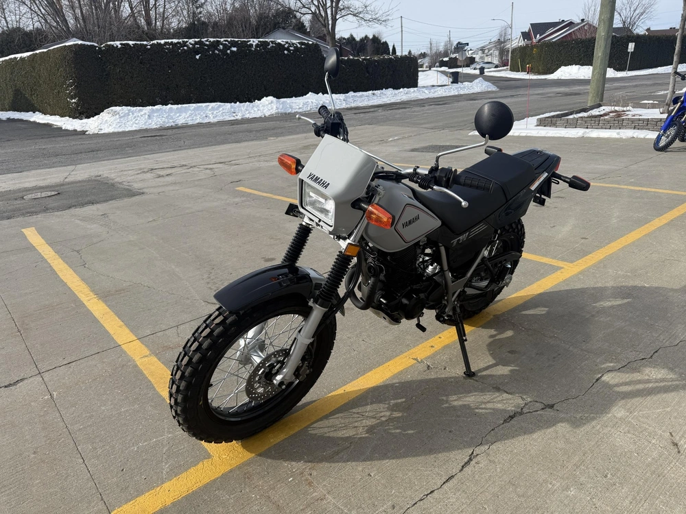 2027 Yamaha Tw200 alt