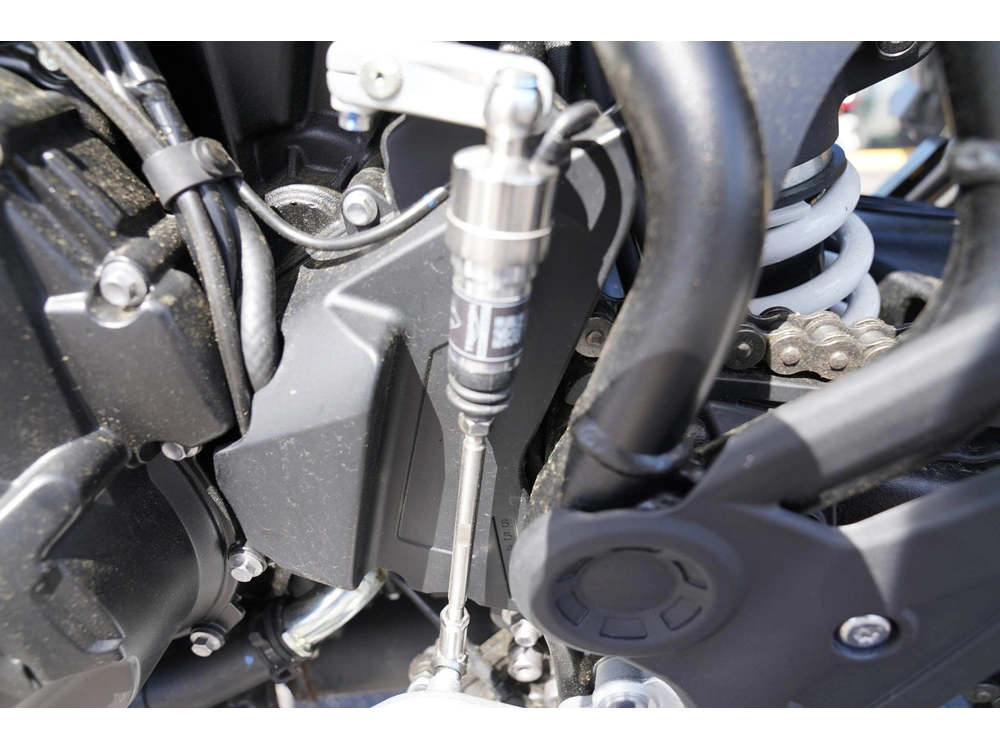 2025 Triumph Tiger 900 Rally Pro alt