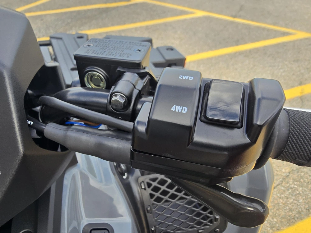 Kawasaki Brute Force 750 Eps 2027 alt