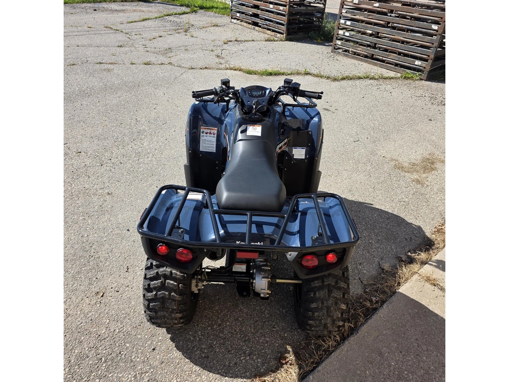 2025 Kawasaki Brute Force 300