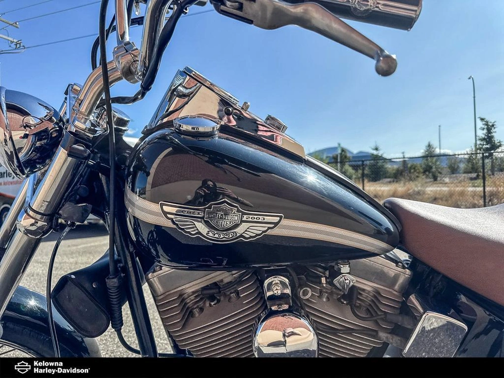 2003 Harley-davidson Fxst - Softail™ Standard