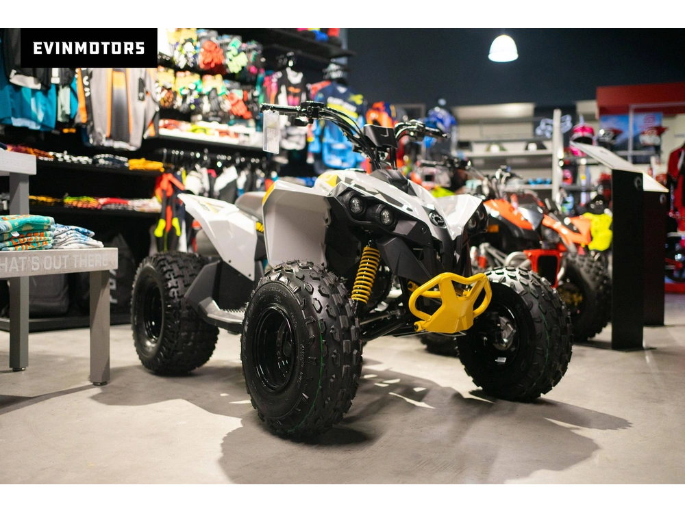 2023 Can-am Renegade 110