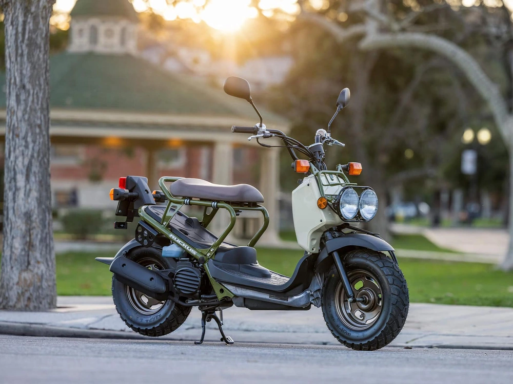 Honda Nps 50 Ruckus 2024 alt