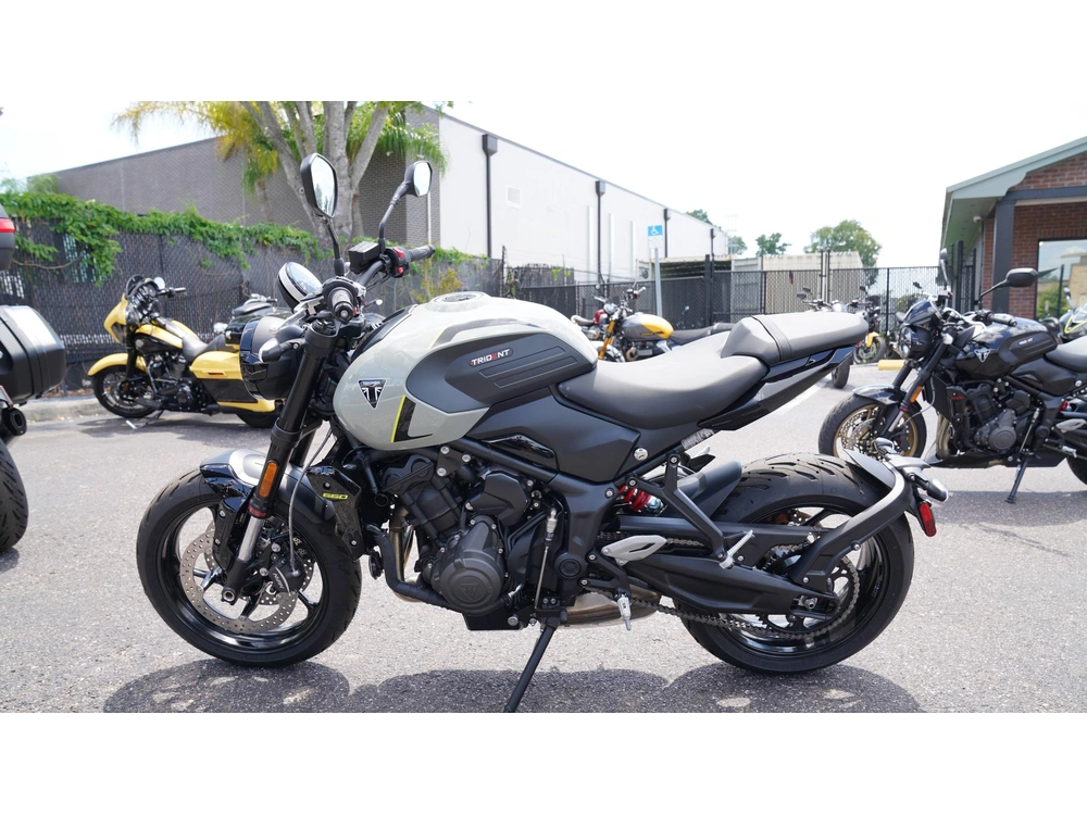 2026 Triumph Trident 660 alt
