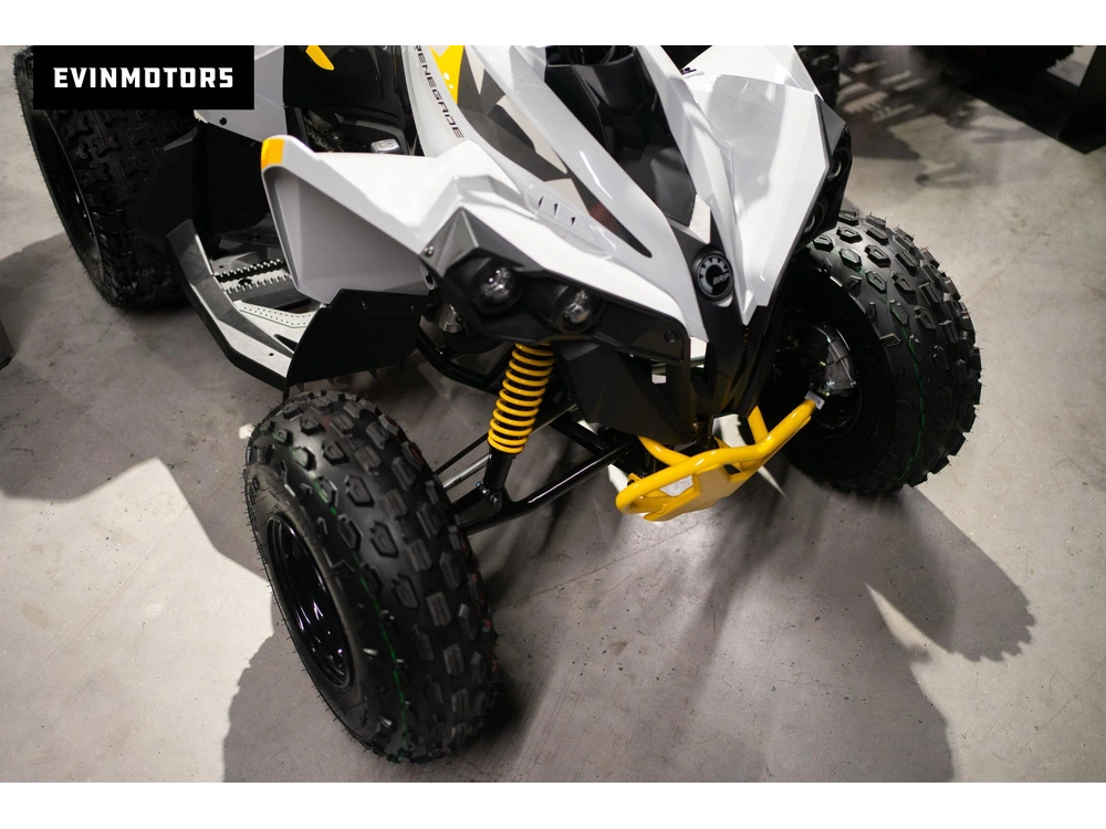 2023 Can-am Renegade 110