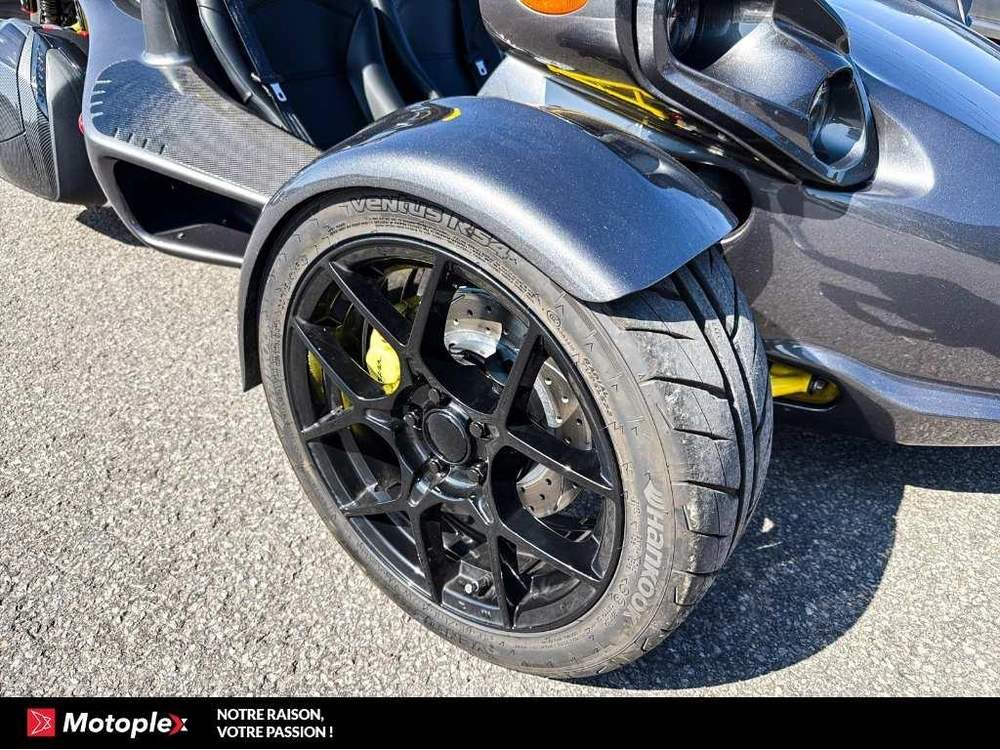 Campagna T-rex Rr Demo 442 Km 2026 alt