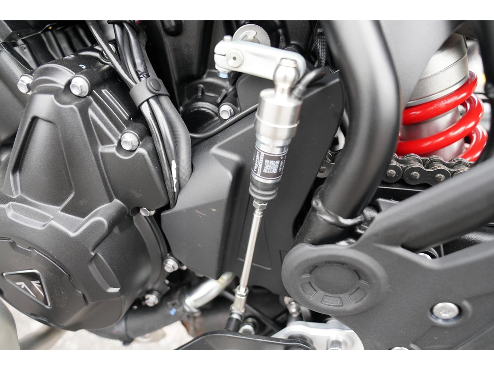 2026 Triumph Tiger 900 Alpine Edition alt