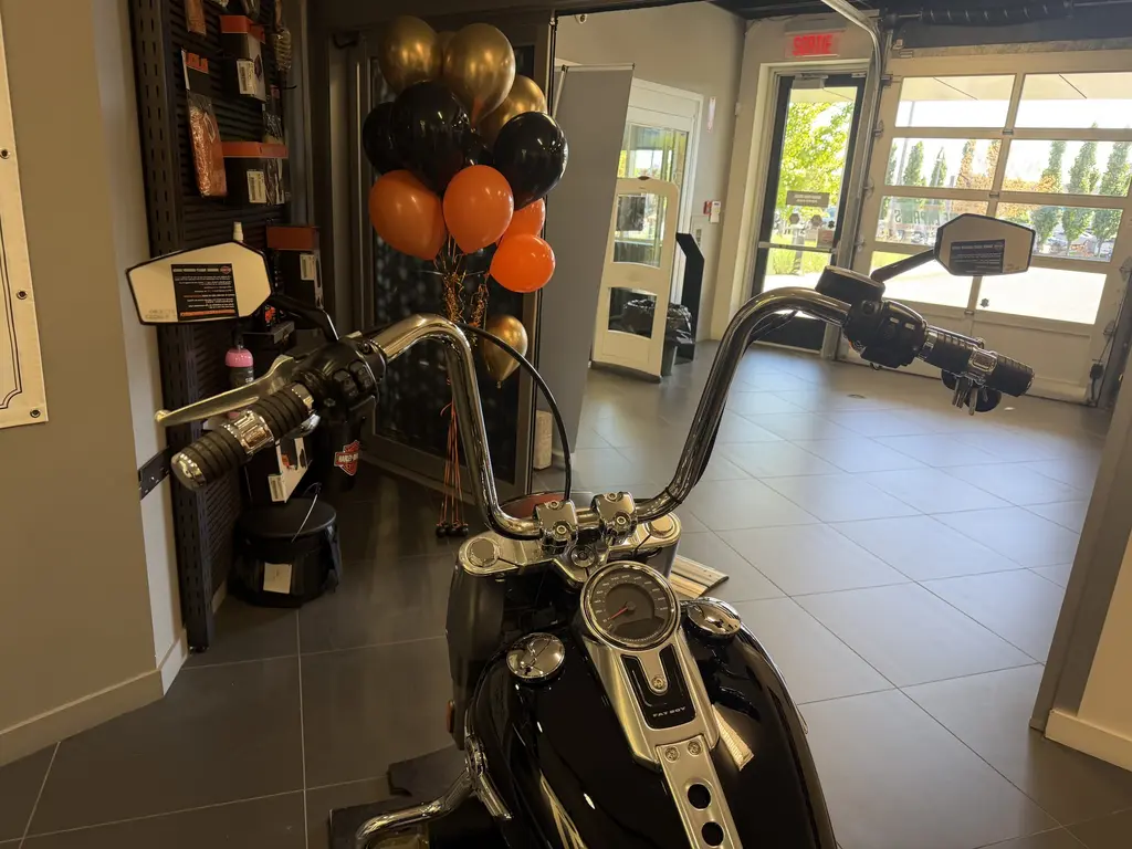 2019 Harley-Davidson FAT BOY 114FLFBS