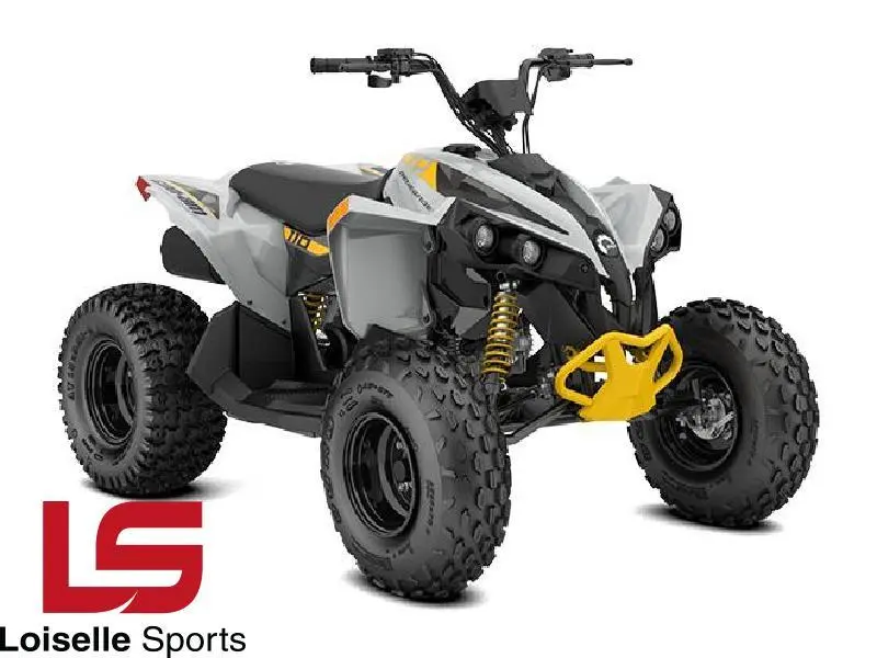 2026 Can-Am Renegade 110 EFI