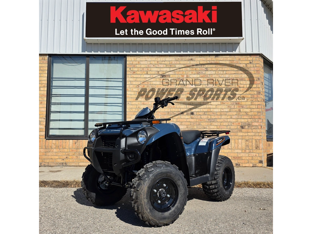 2025 Kawasaki Brute Force 300