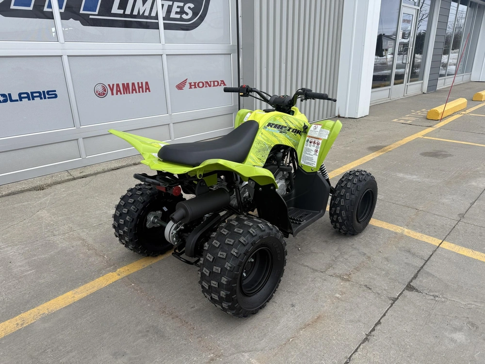 2027 Yamaha Raptor 110 alt