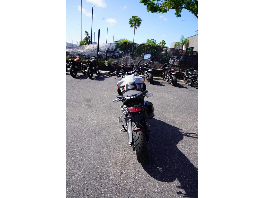 2025 Triumph Tiger 900 Rally Pro alt