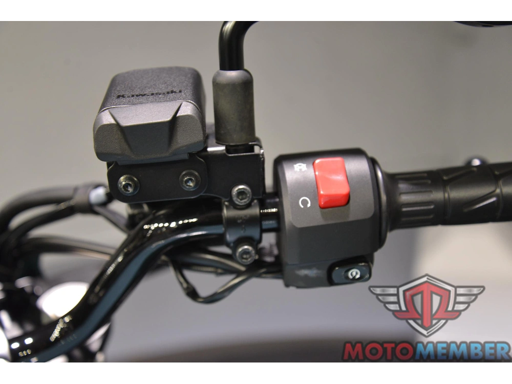 2025 Kawasaki Eliminator® Se Abs alt