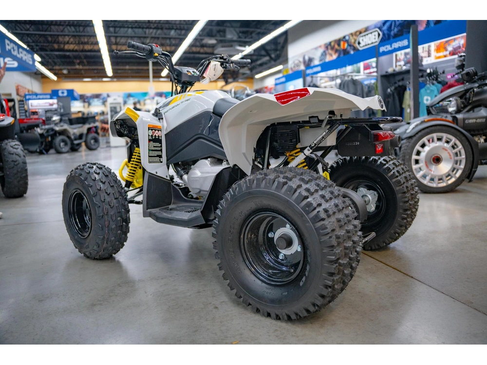 2026 Can-am Renegade 110 Efi