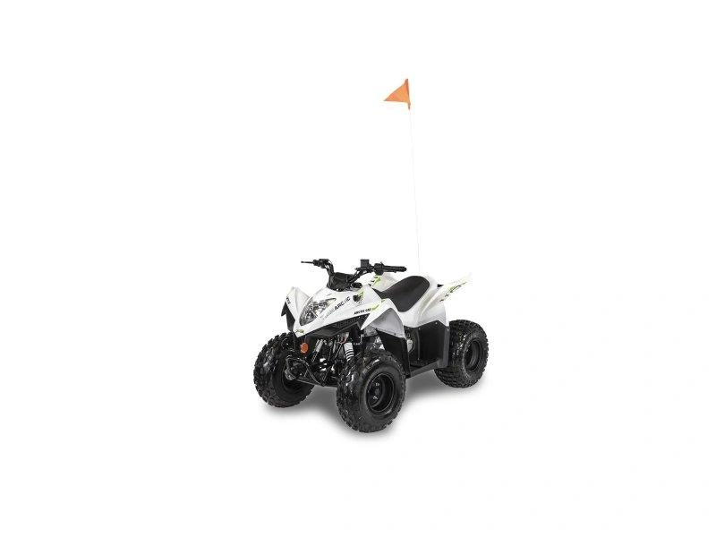 Arctic Cat Alterra 110 2027 alt