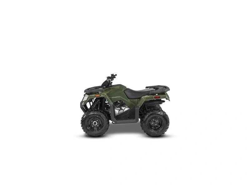 Arctic Cat Alterra 300 2027 alt