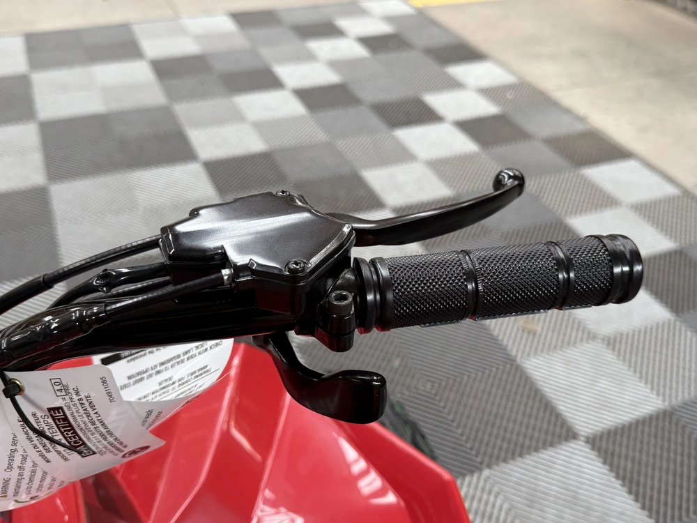2027 Can-am Renegade 2x4 110