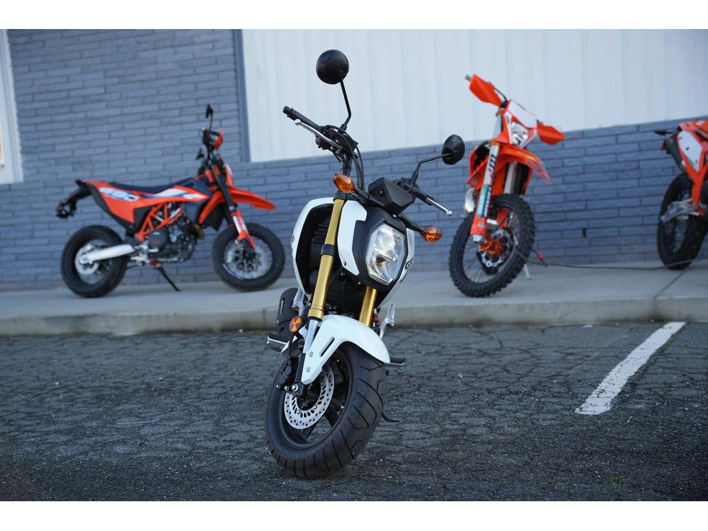 2025 Honda Grom Sp