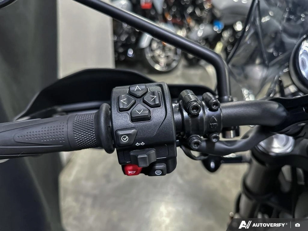 2024 Triumph 1200xc