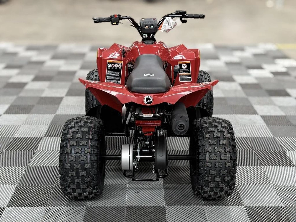 2027 Can-am Renegade 2x4 110