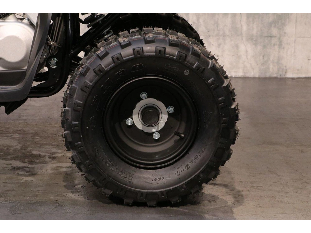 Yamaha Raptor 110 2027 alt