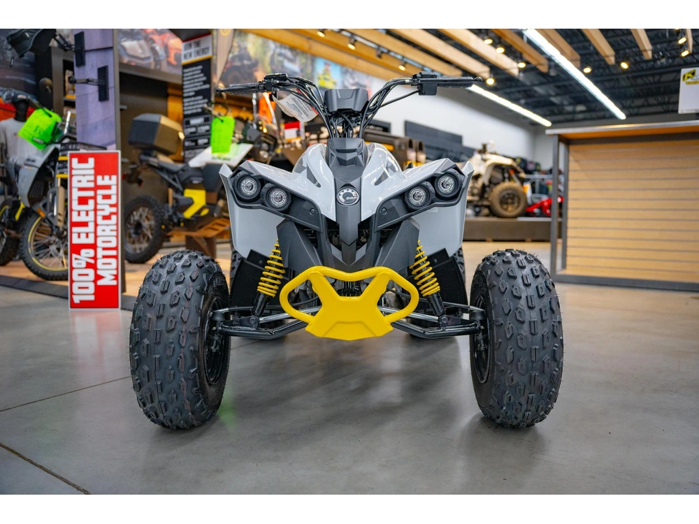 2026 Can-am Renegade 110 Efi