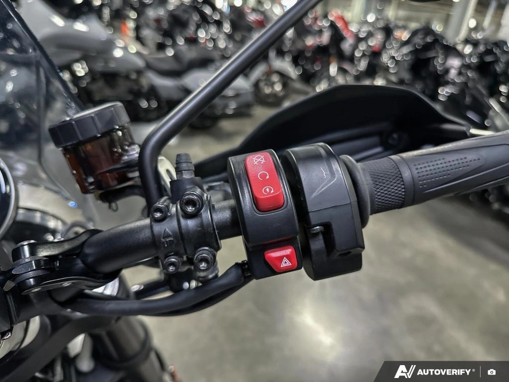 2024 Triumph 1200xc