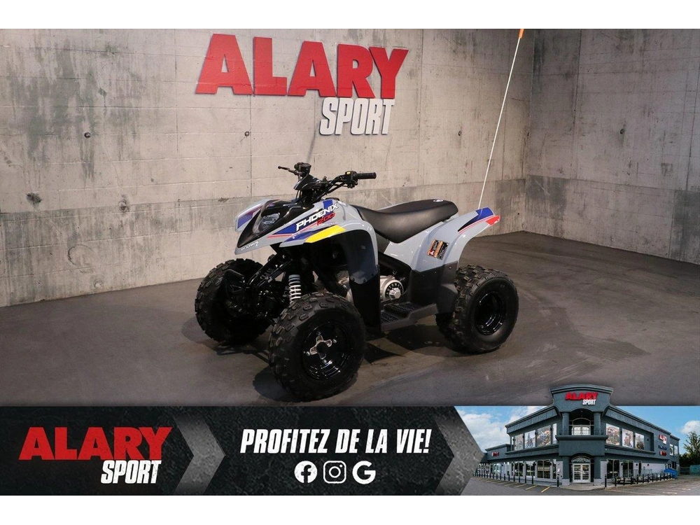 2027 Polaris Phoenix 200 alt