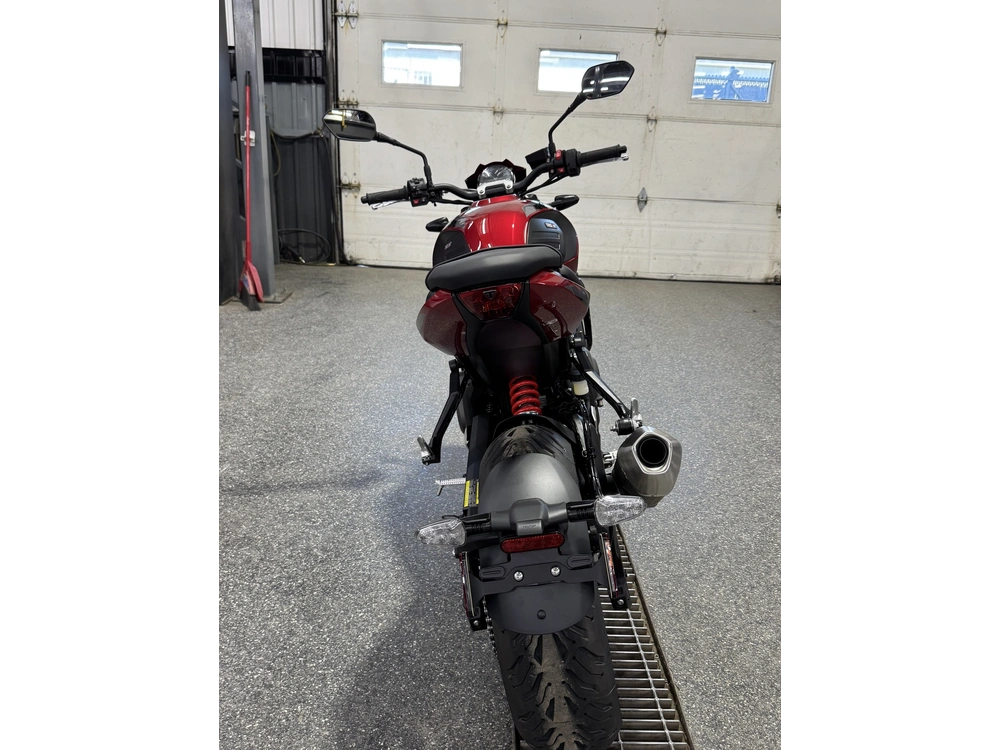 Triumph Trident 800 Rouge 2026
