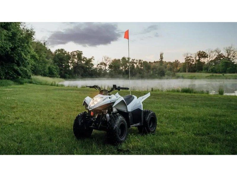 Arctic Cat Alterra 110 2027 alt