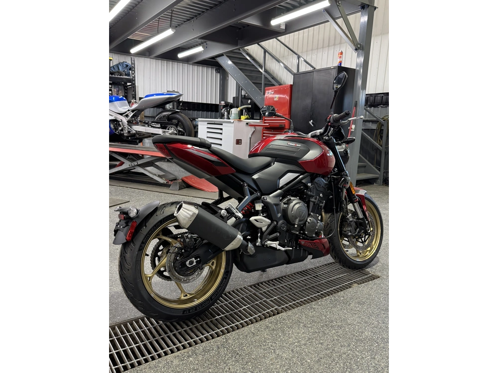 Triumph Trident 800 Rouge 2026