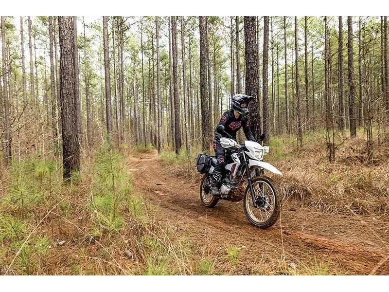 2026 Honda Xr150l
