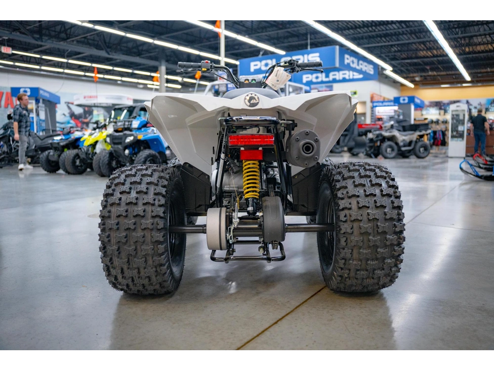 2026 Can-am Renegade 110 Efi