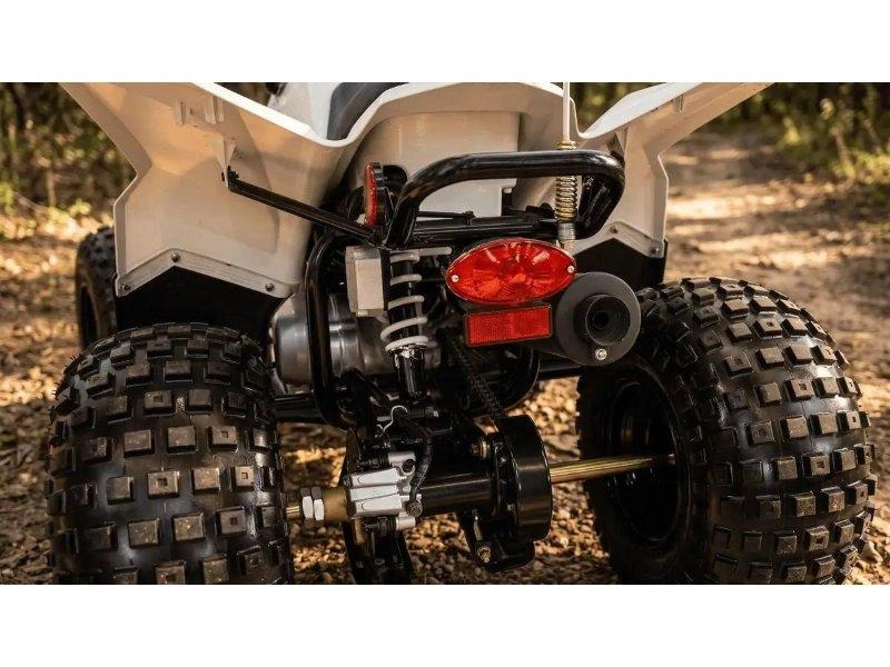 Arctic Cat Alterra 110 2027 alt